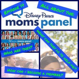 Episode 14 - All About the Disney Parks Moms Panel