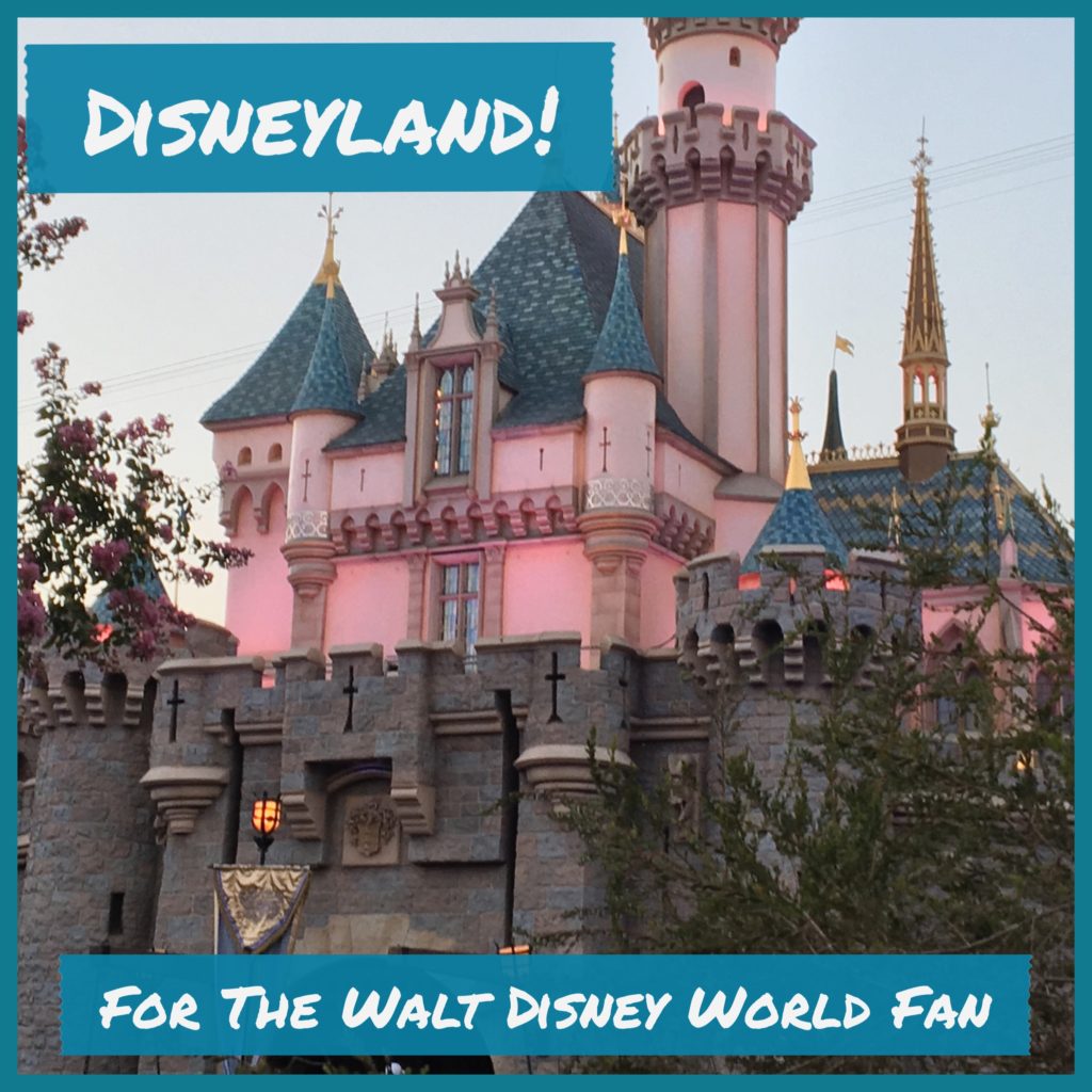 Disneyland for the Walt Disney World Fan