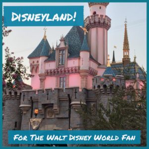 Disneyland for the Walt Disney World Fan