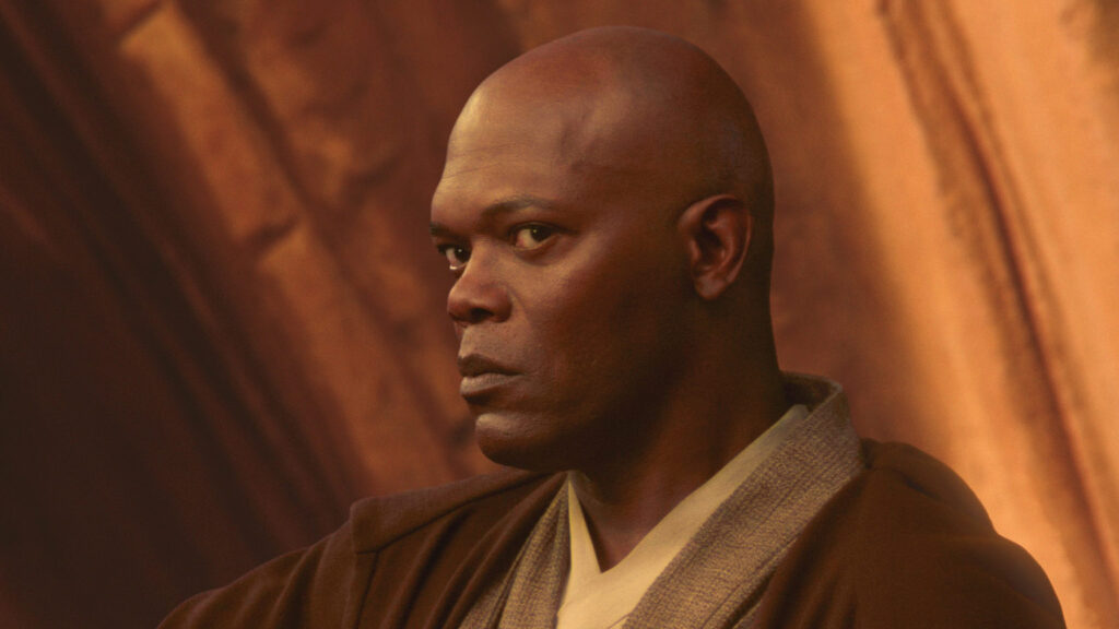 Mace Windu - Which Jedi Are You Quiz