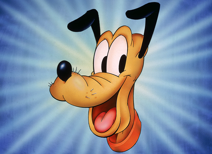 Pluto shorts opening - All About Pluto - The Original Disney Dog