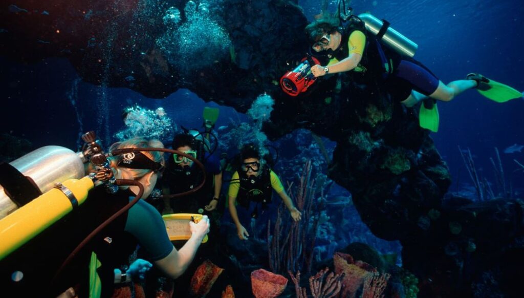 Divers explore The Living Seas Aquarium
