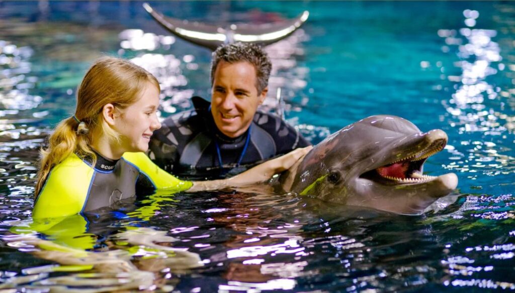 Guest interacts with Bottlenose Dolphin with a trainer