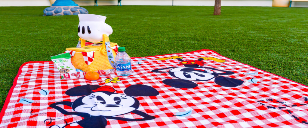 Picnic Package new Fun Feature at Toontown